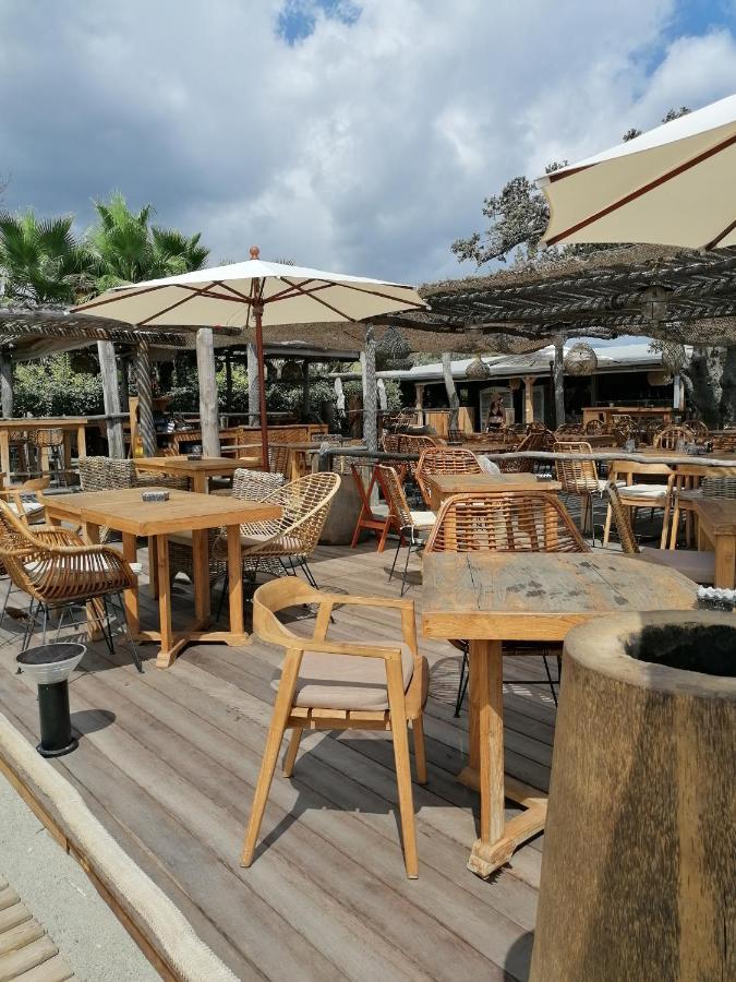 Studio 4 personnes bord de mer avec piscine wifi Cervione Extérieur photo