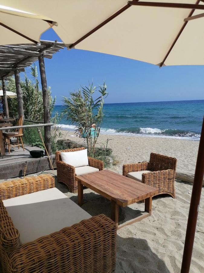 Studio 4 personnes bord de mer avec piscine wifi Cervione Extérieur photo