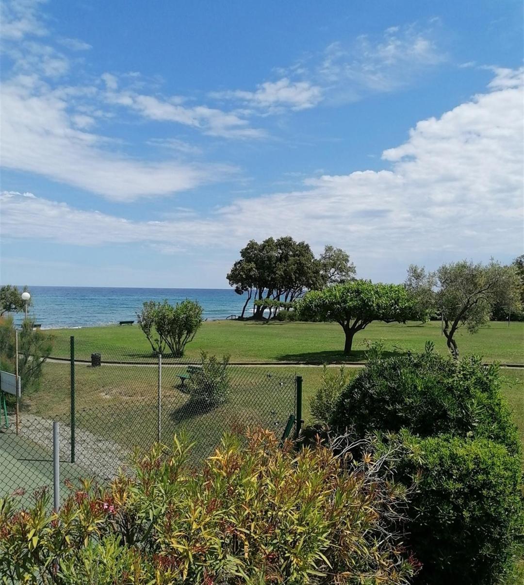 Studio 4 personnes bord de mer avec piscine wifi Cervione Extérieur photo